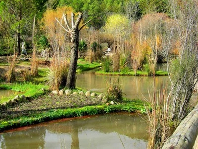 Jardín Botánico Torre del Vinagre