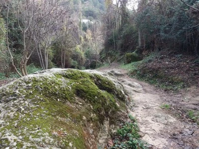 Ruta del Río Cerezuelo