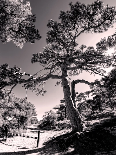 Ruta del Puente de las Herrerías