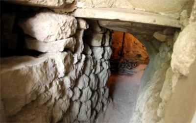 Centro Temático Frondosa Naturaleza