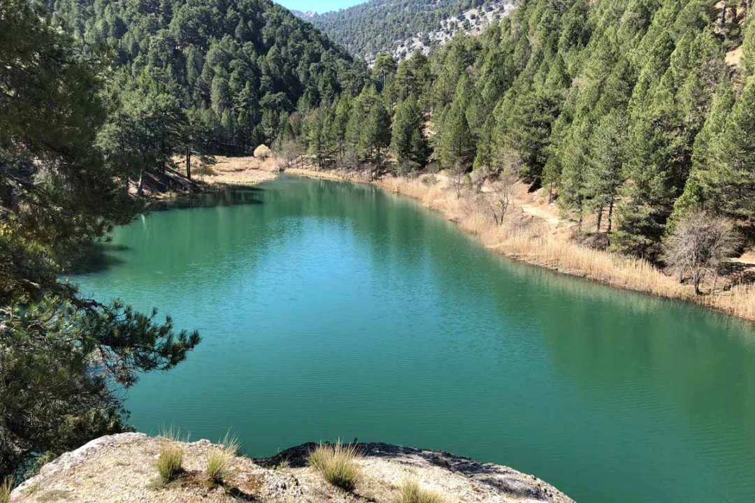 Ruta Sendero GR 247 Bosques del Sur