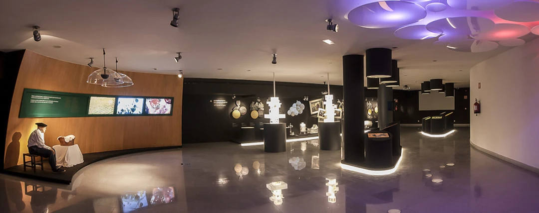 TXAKOLINGUNEA - MUSEO DEL TXAKOLI