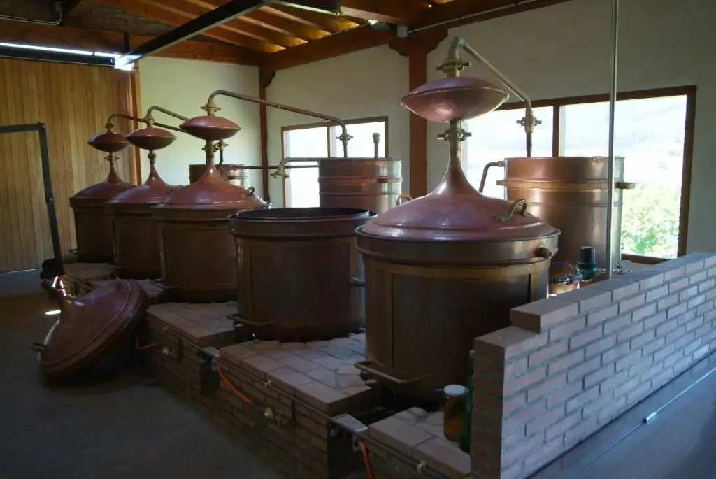 DONIENE GORRONDONA BODEGA