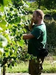 ABIO TXAKOLINA BODEGA