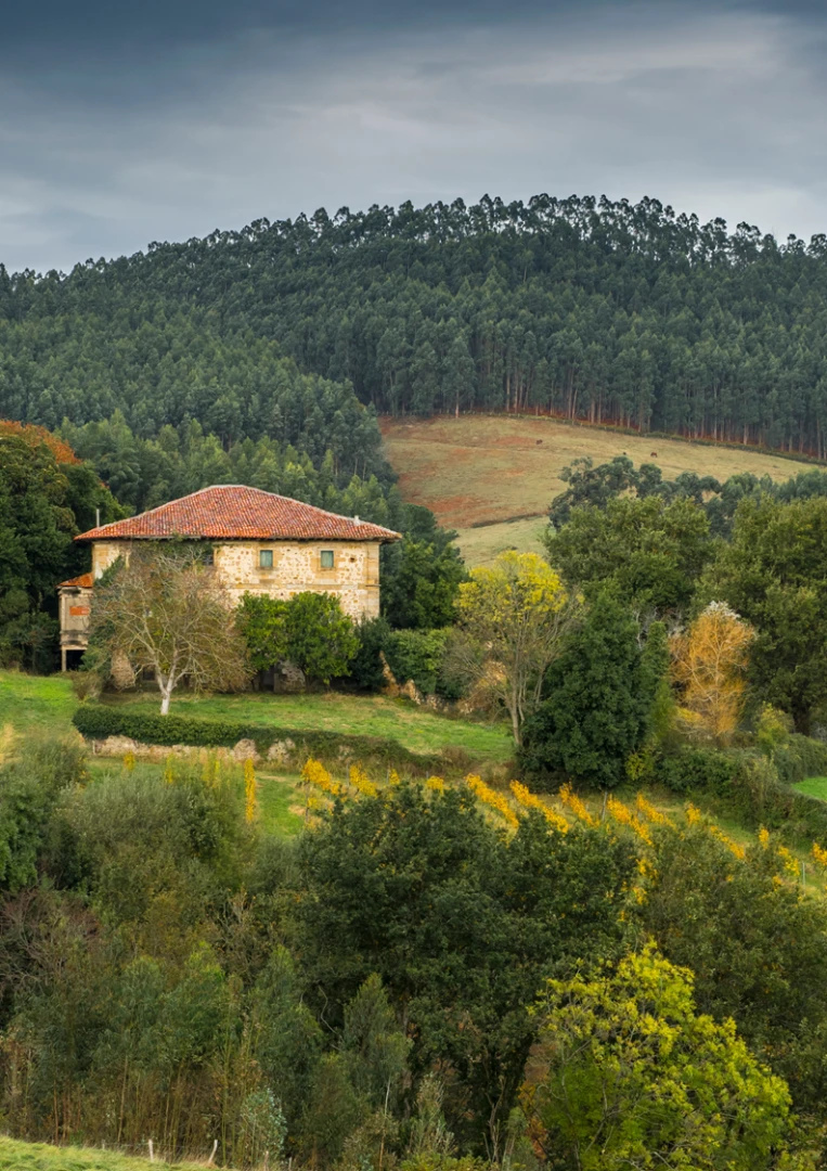 PALACIO ELEXPURU ( PATRIMONIO HISTÓRICO DE BIZKAIA )