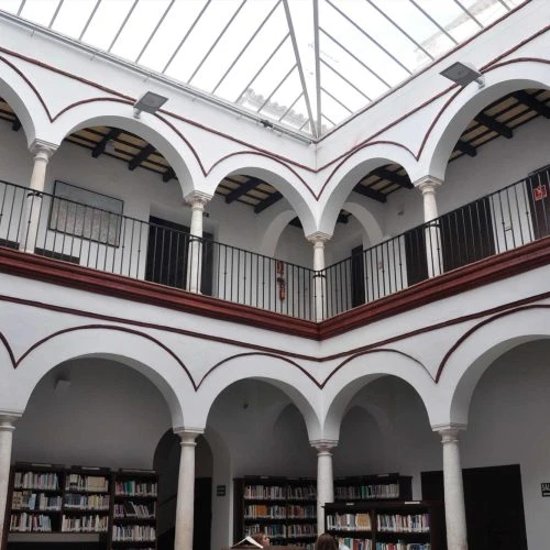 Casa Palacio de los Pareja (Biblioteca Municipal)