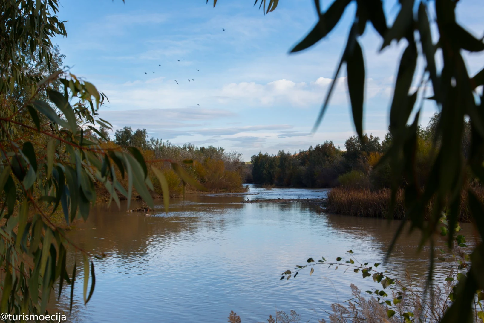Río Genil