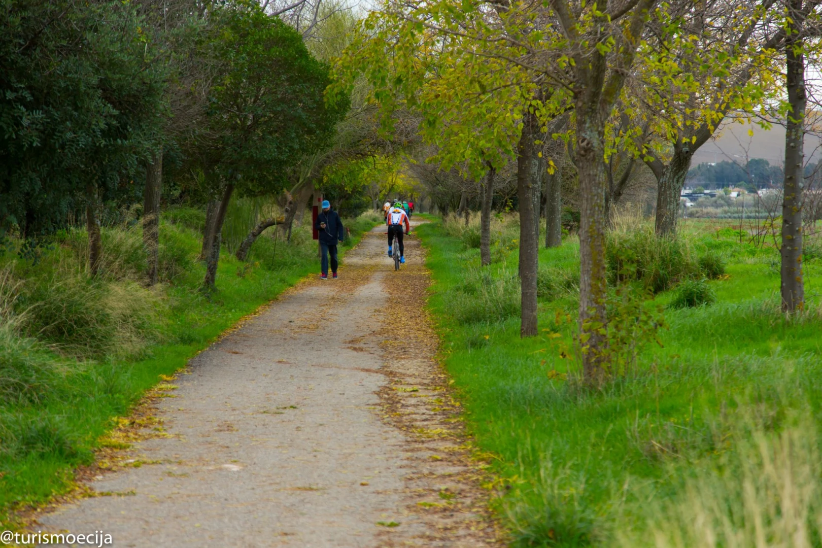 Vía Verde de la Campiña
