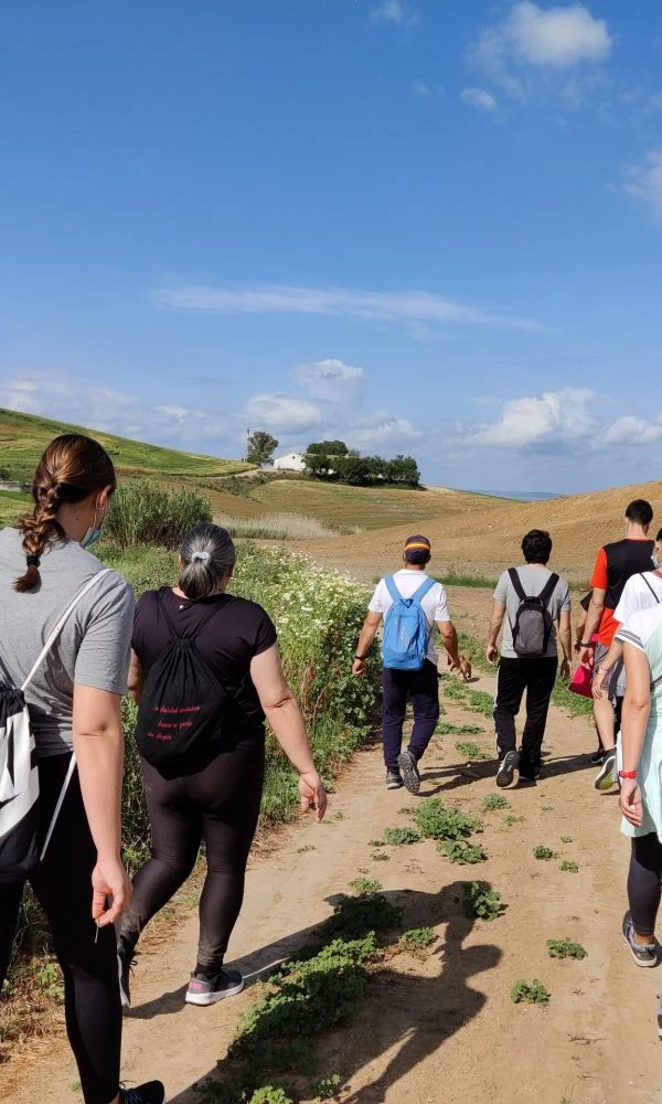 Caminos y veredas