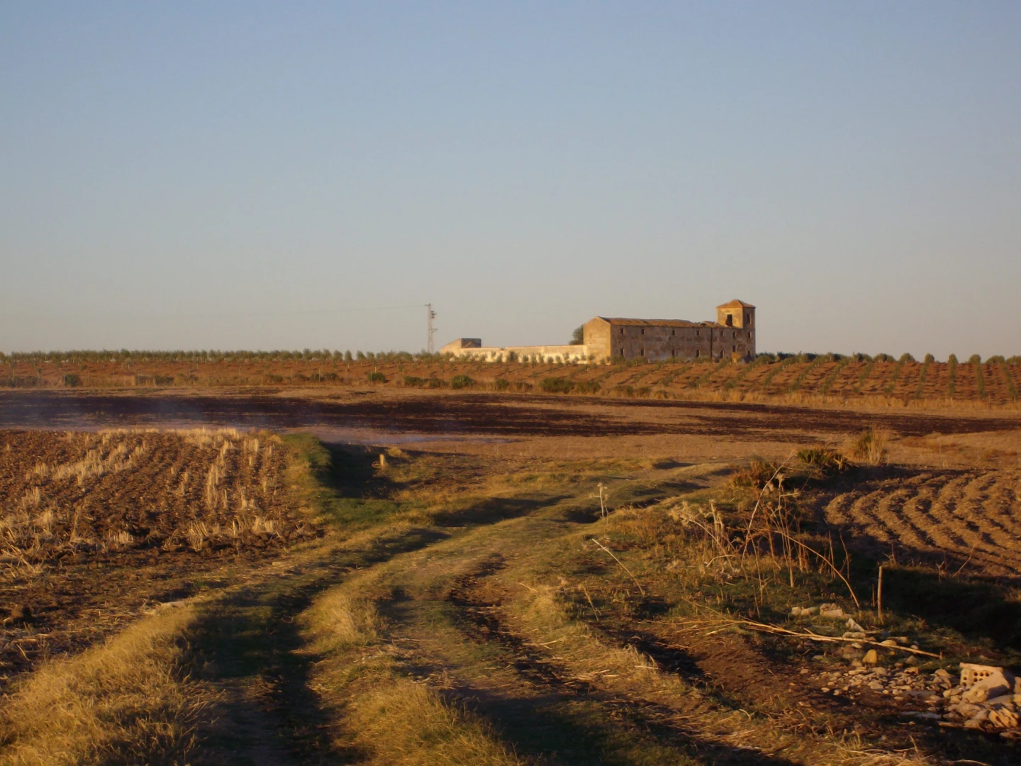 Caminos y veredas