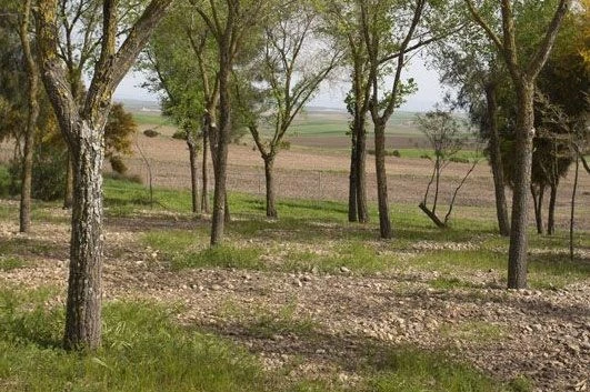 Parque rural Molino de Viento