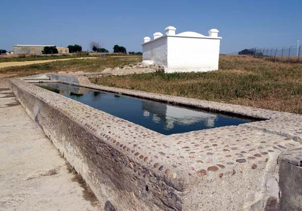 Fuente de la Reina