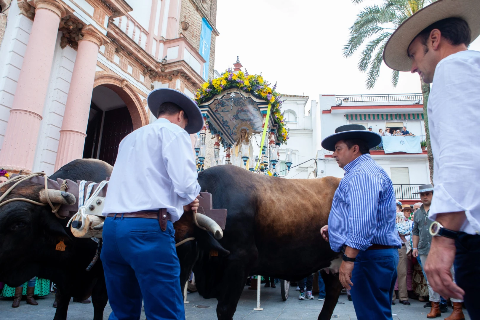 Romería Nuestra Señora del Rosario de Fátima
