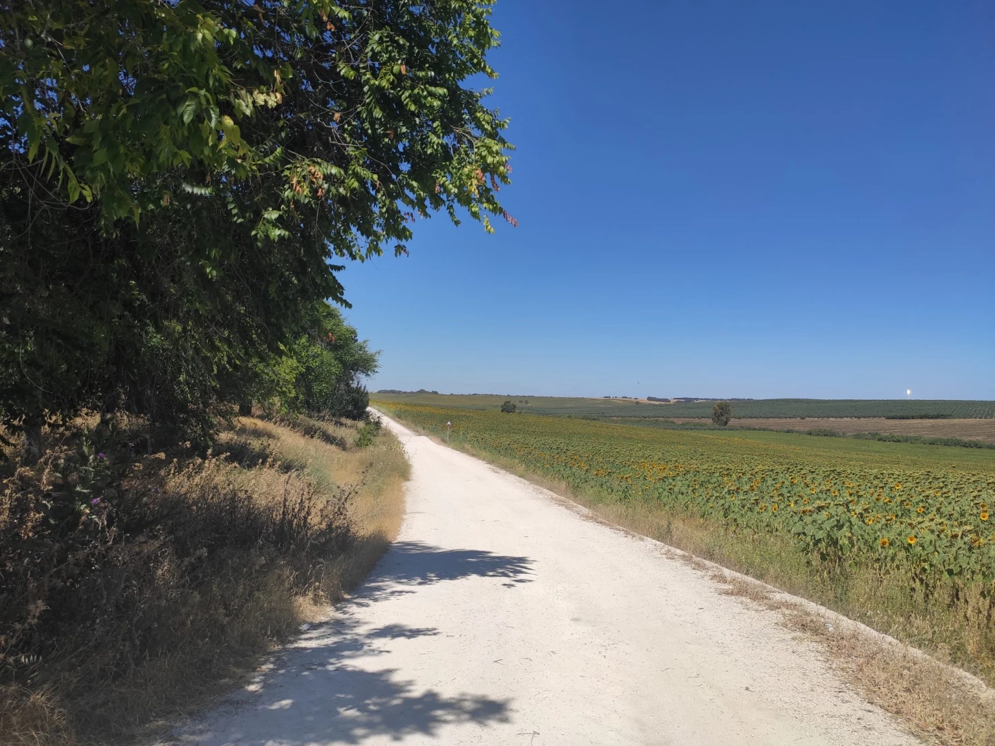 Vía Verde de la Campiña