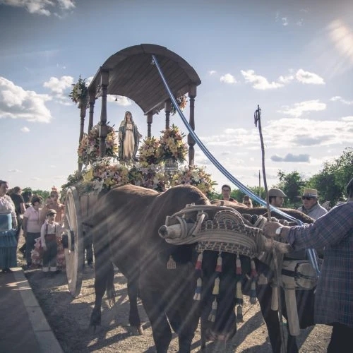 Romería Virgen de la Milagrosa