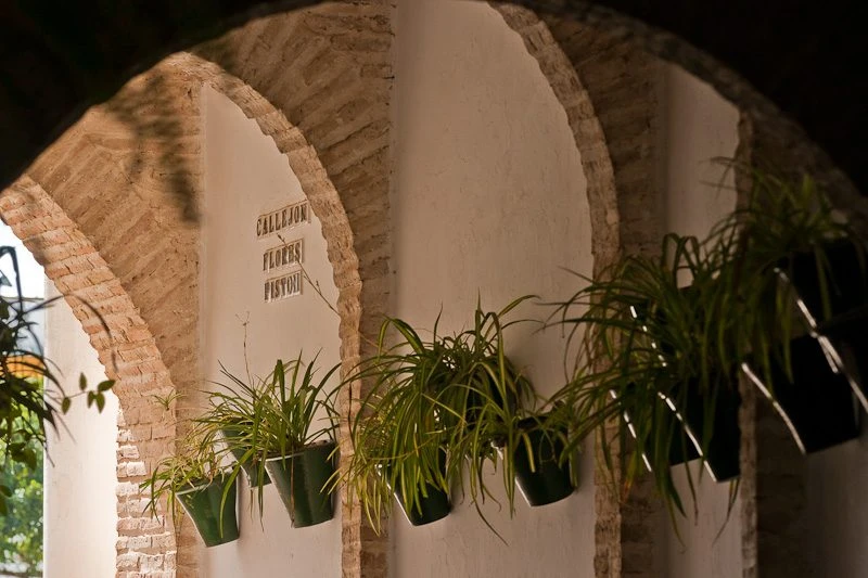 Callejón de Flores Pistón
