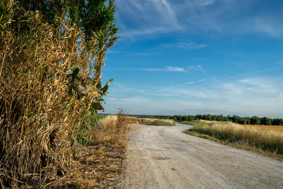 Vía Verde de la Campiña