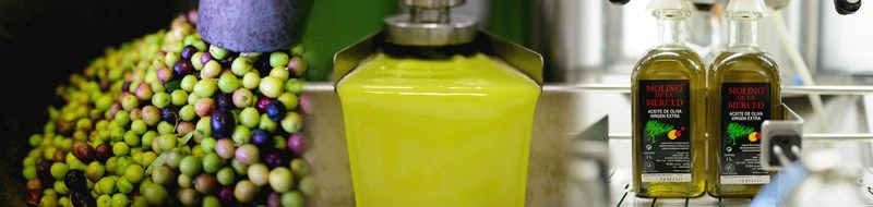 Aceite de oliva (CAPI)