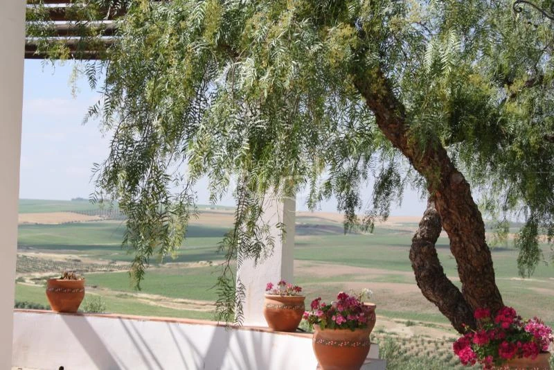 Finca Los Castellares