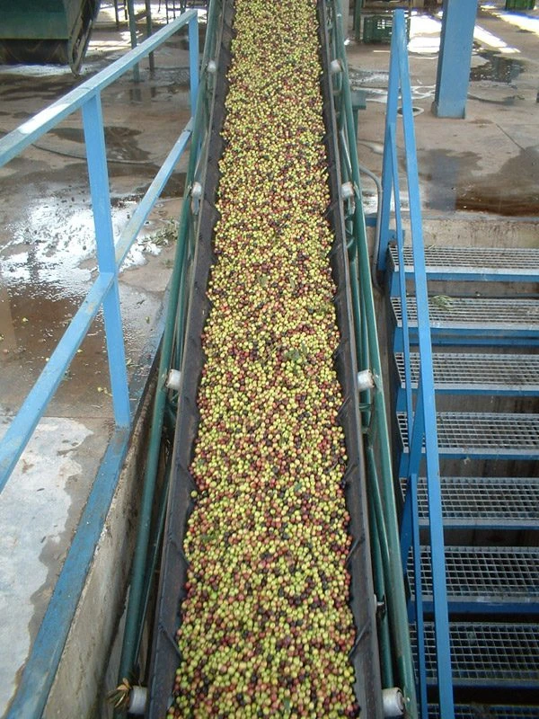 Cooperativa Ecijana de Servicios Agropecuarios S.C.A. (Coesagro)