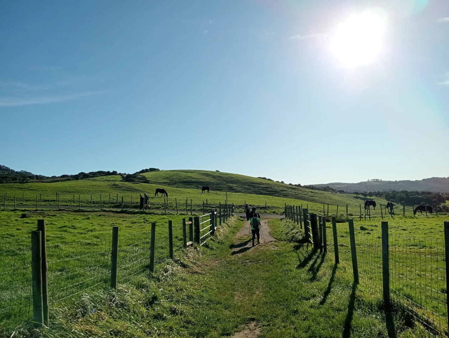 Rutas guiadas por Gorliz gratuitas