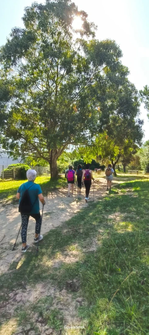 Rutas Nordic Walking gratuitas en Gorliz