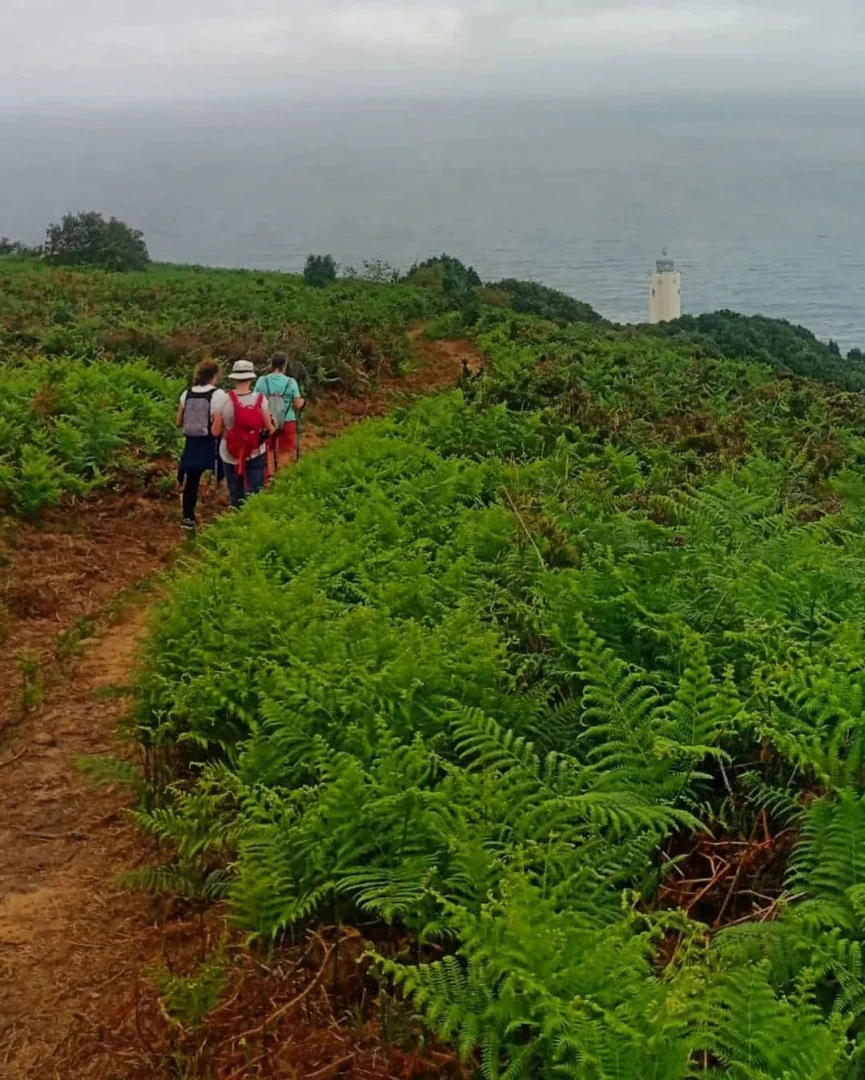Rutas Nordic Walking gratuitas en Gorliz