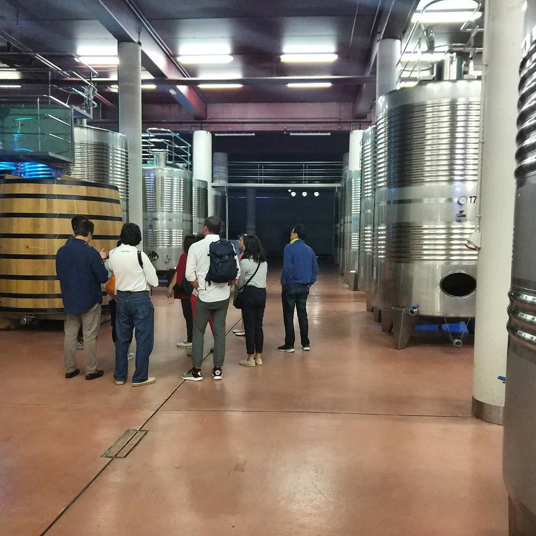 Bodega Gorka Izagirre (Azurmendi Complejo Enogastronómico)