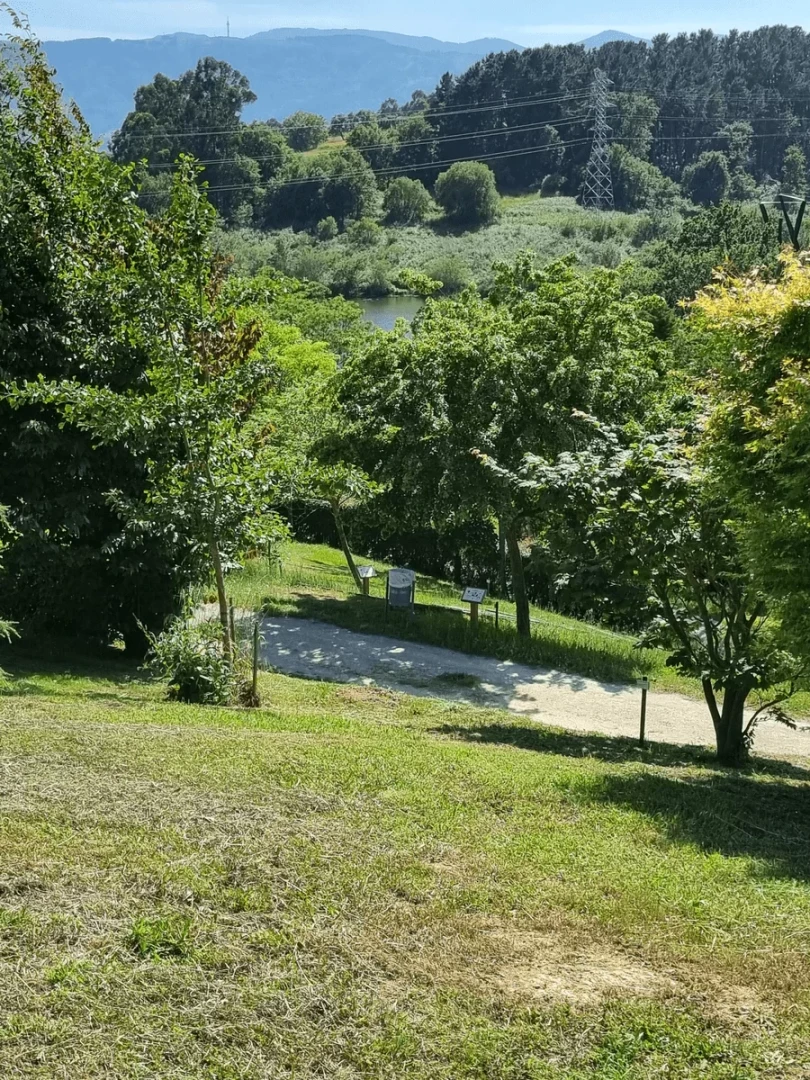 Arboretum Universidad País Vasco