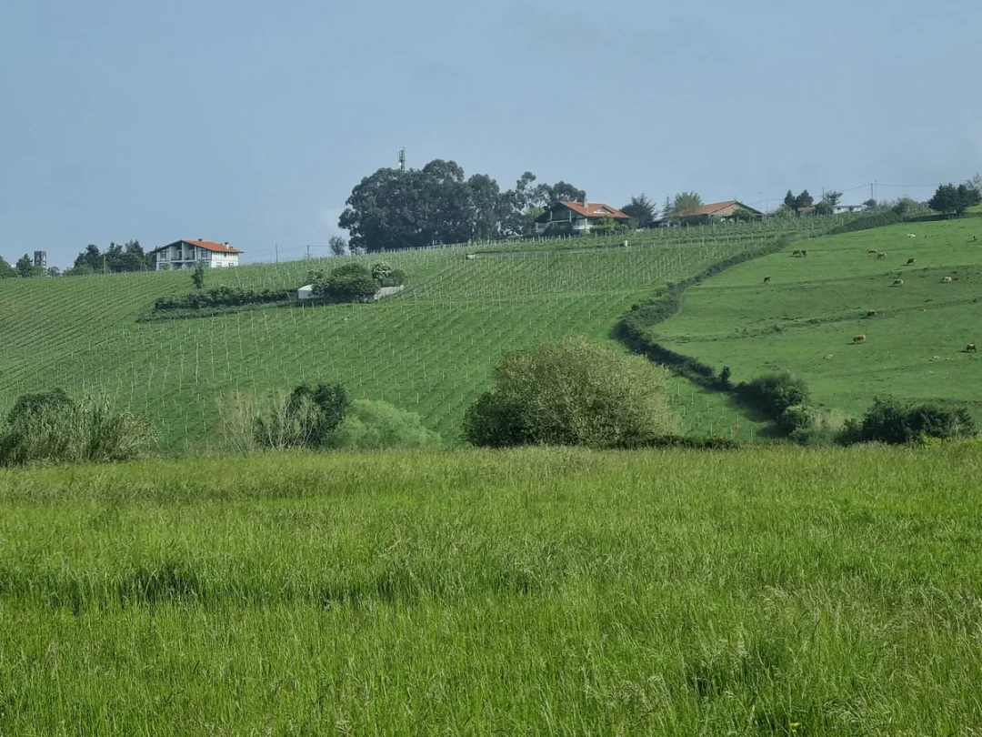 Baserri: La campiña de Leioa