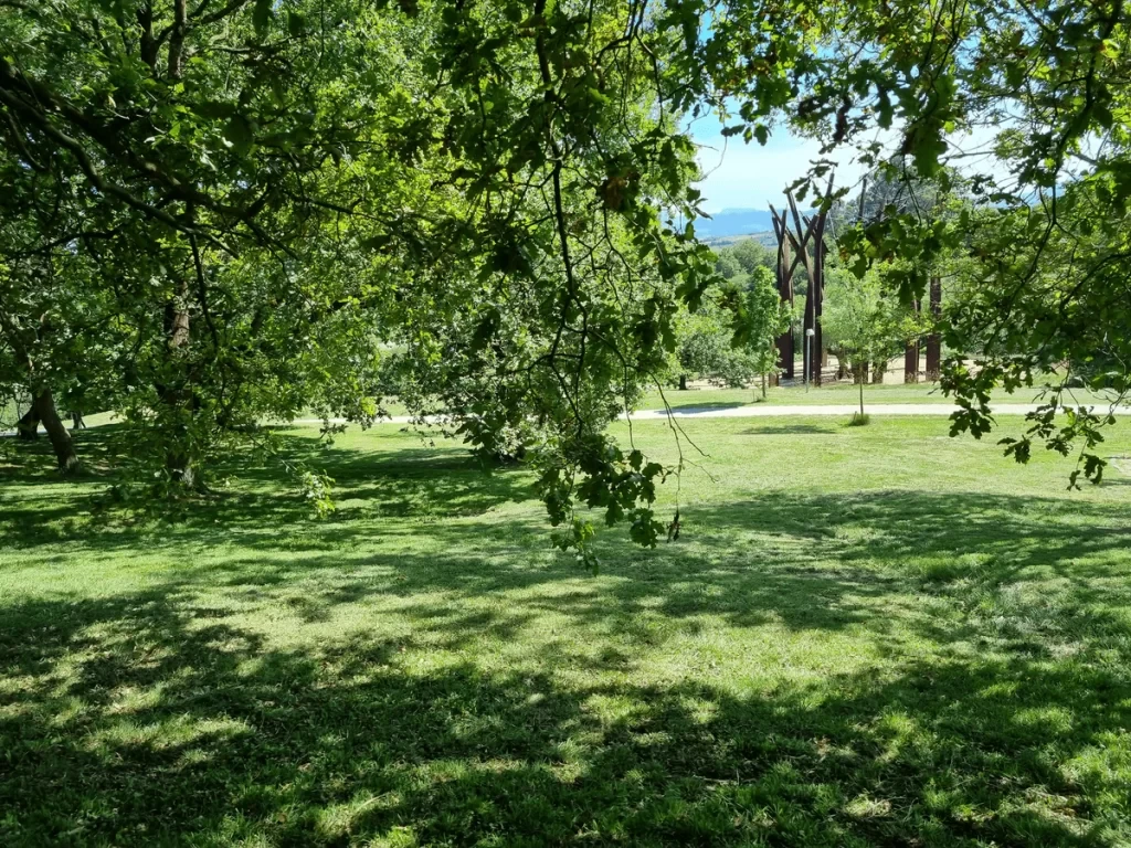 Ruta hasta la Universidad