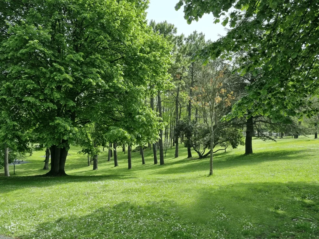 Leioa Verde, Accesible y Sostenible