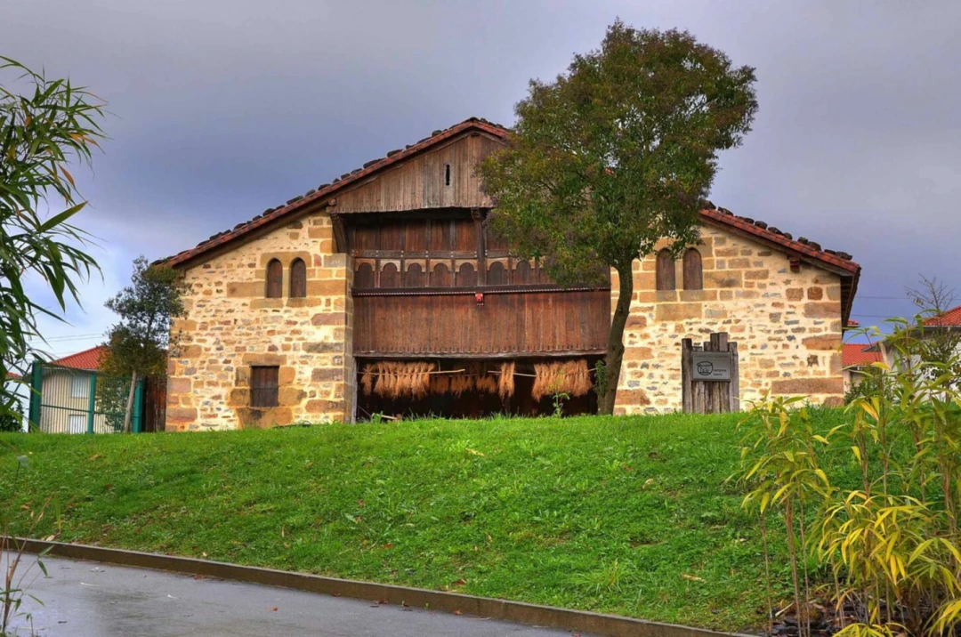 Izenaduba Basoa Centro de Interpretación de la Mitología Vasca