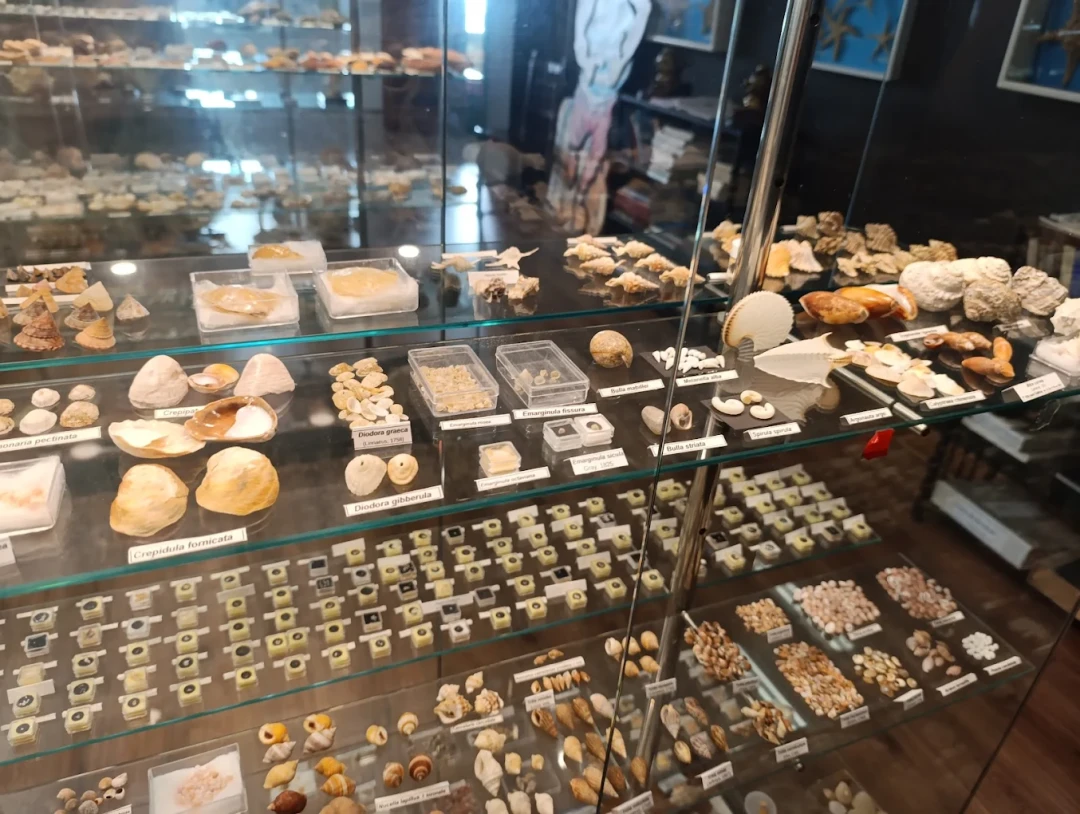 Museo Mares de Cedeira