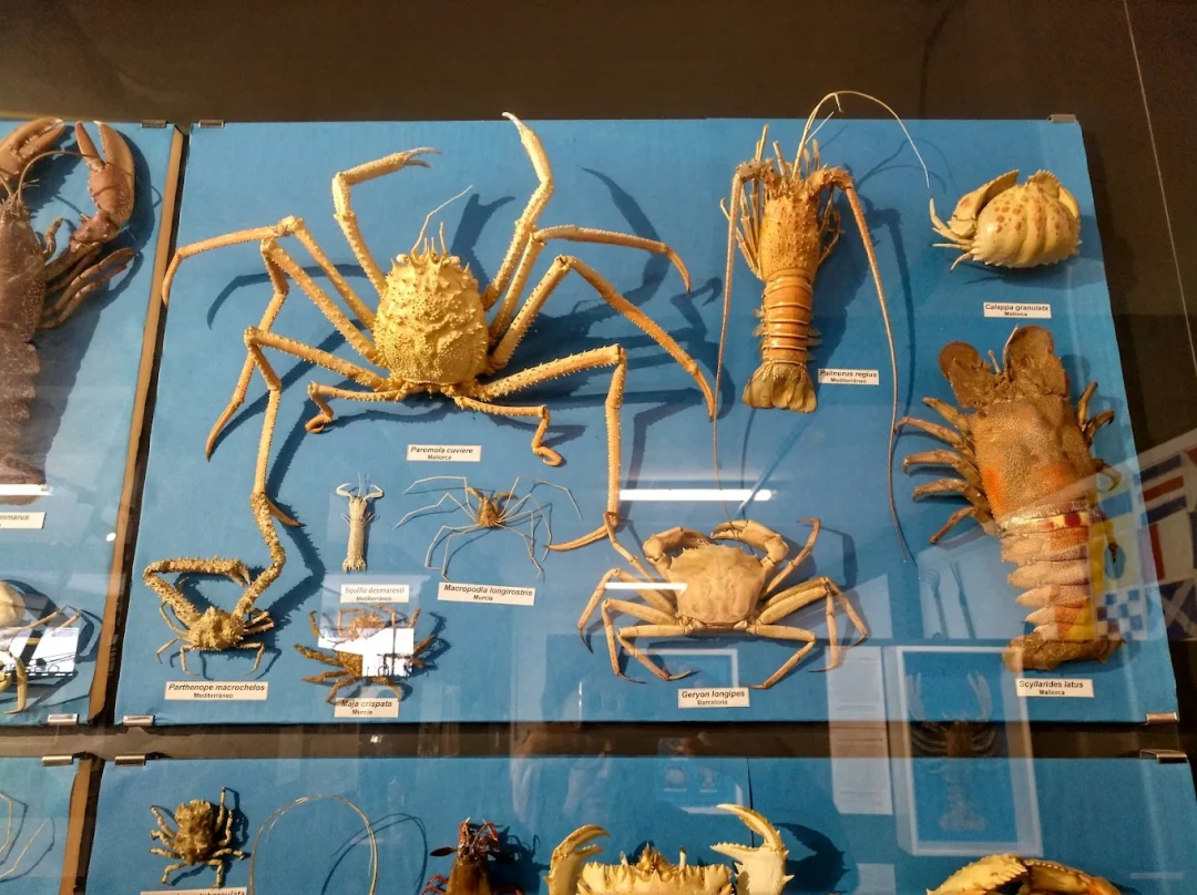 Museo Mares de Cedeira