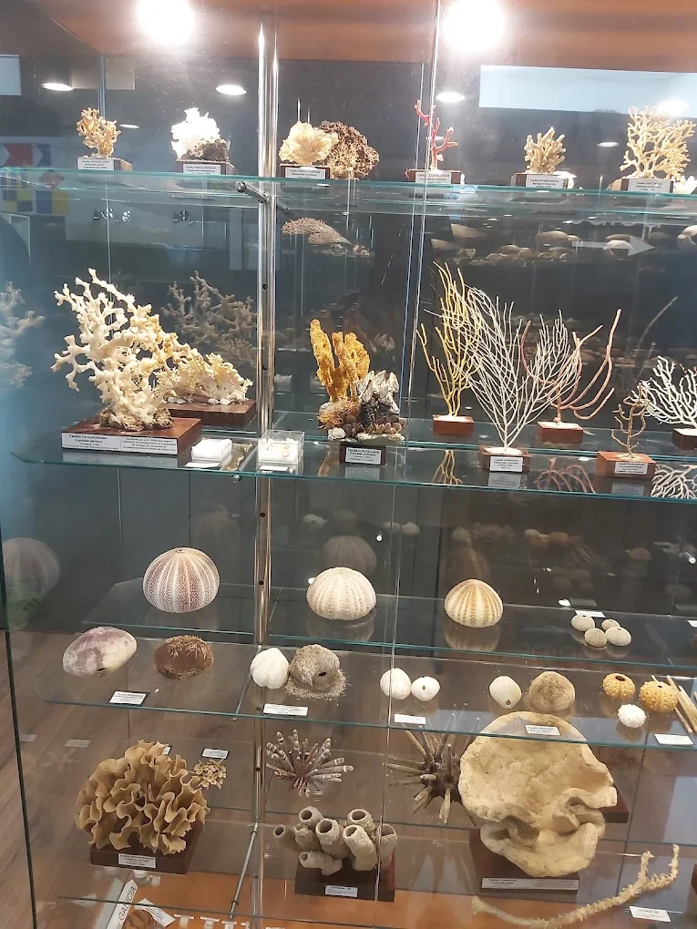 Museo Mares de Cedeira