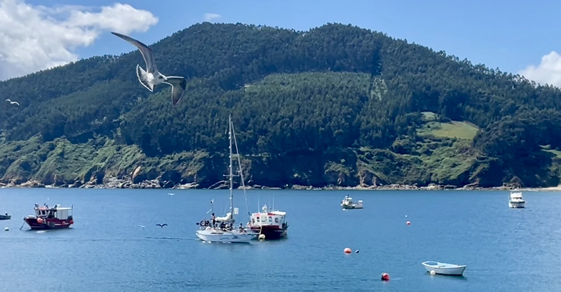 ¿Queresvela?