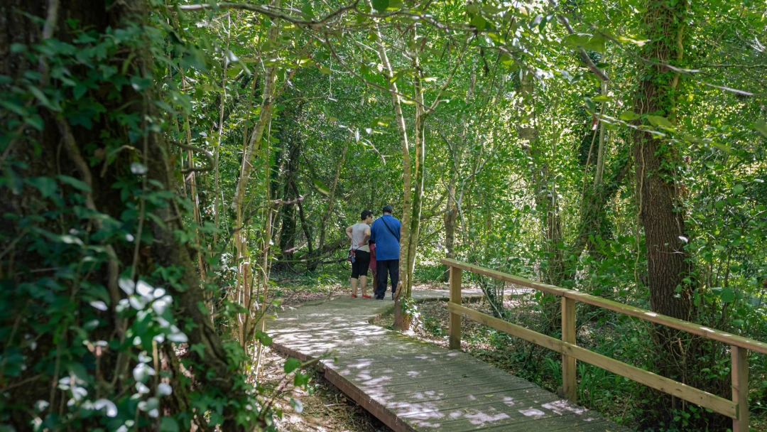 Paseo Fluvial (San Sadurniño)