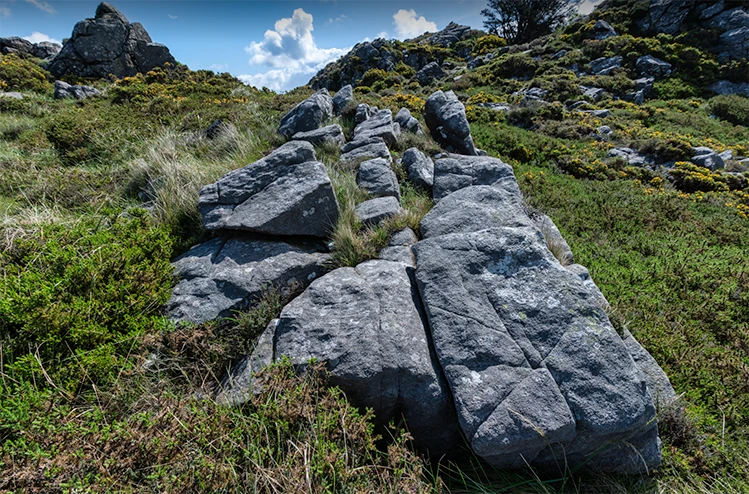 Geosite Flanco SE da Serra da Capelada