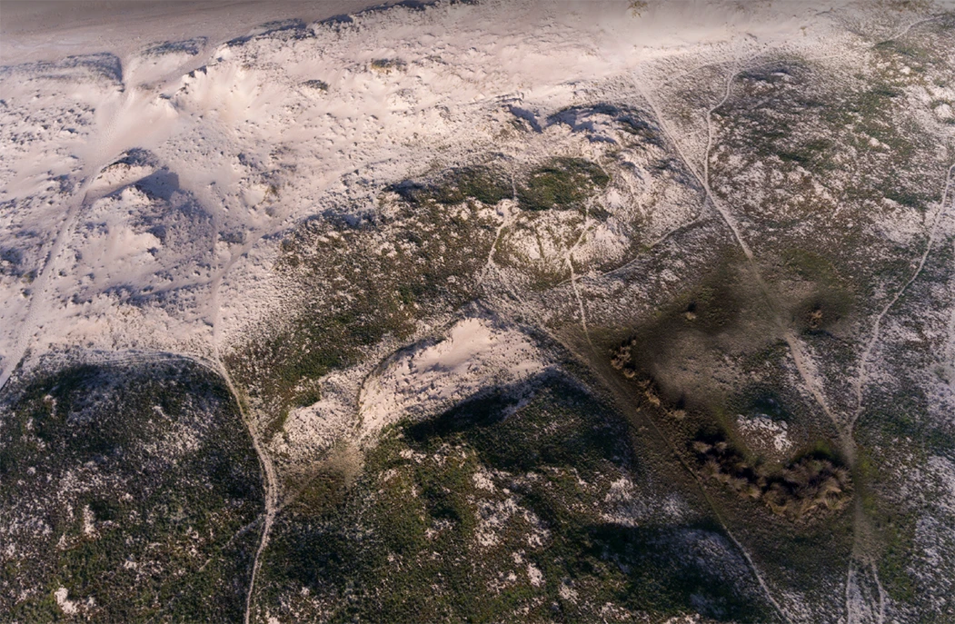 Complexo dunar da Frouxeira