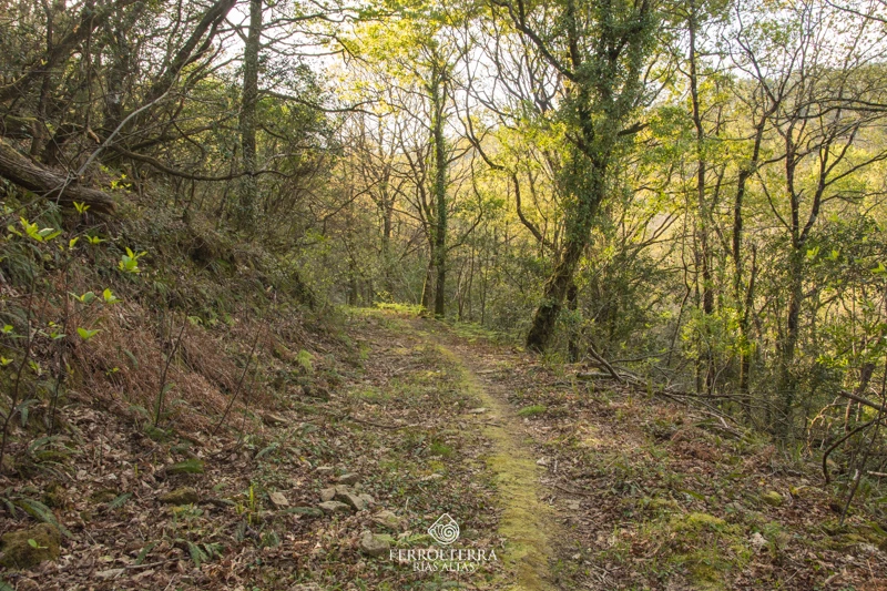 Roteiro Fraga dos Casás