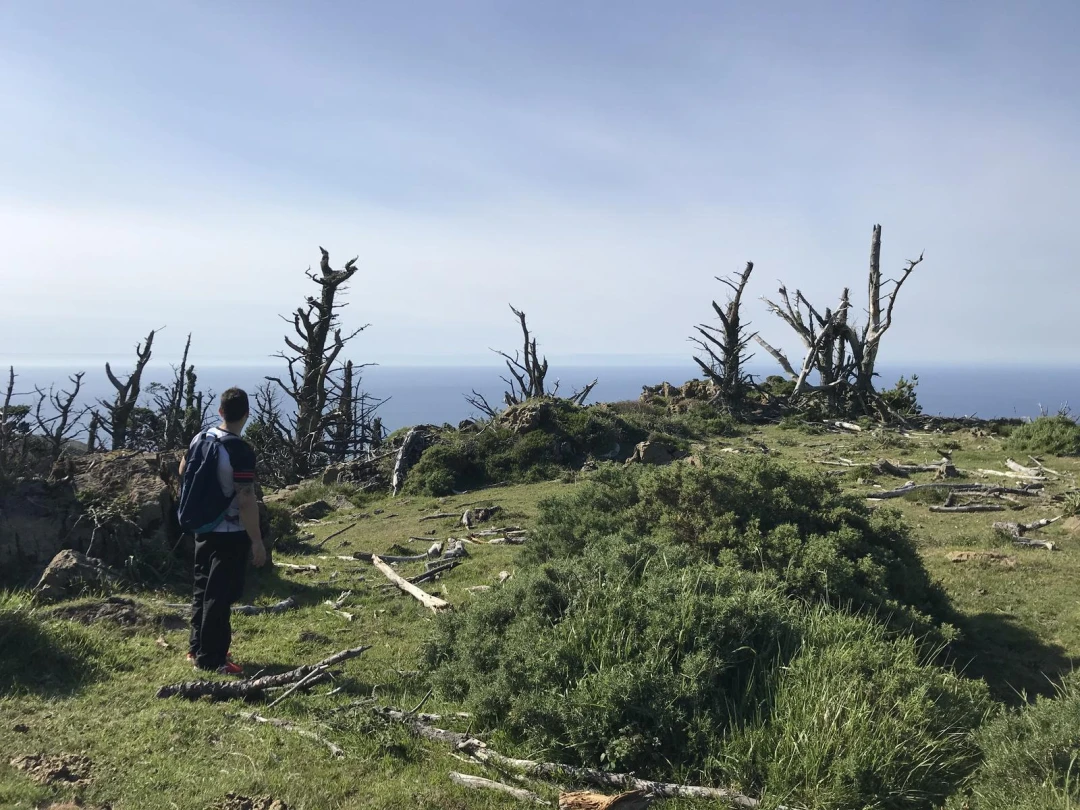 Cariño-Faro Cabo Ortegal-Punta do Limo