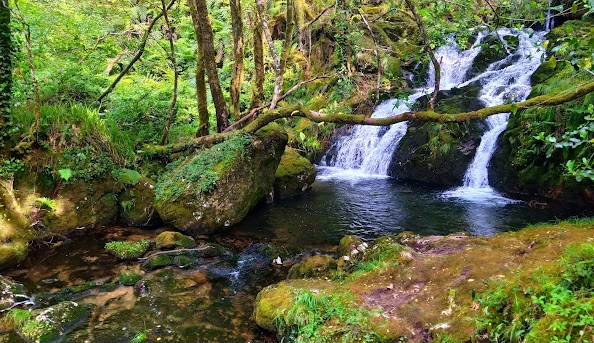Igrexafeita (San Sadurniño)