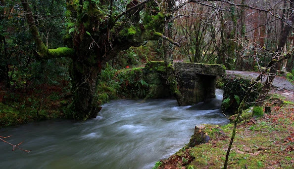 Igrexafeita (San Sadurniño)