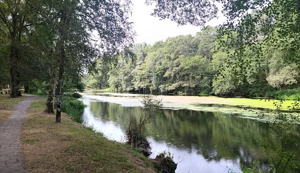 Rábade