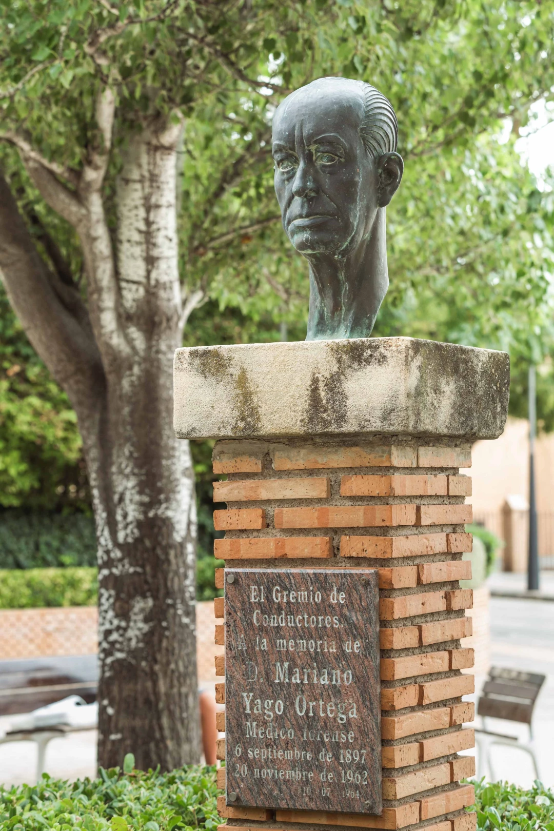 Sobre la medicina