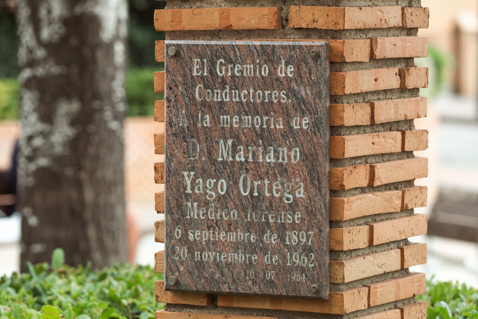 Sobre la medicina