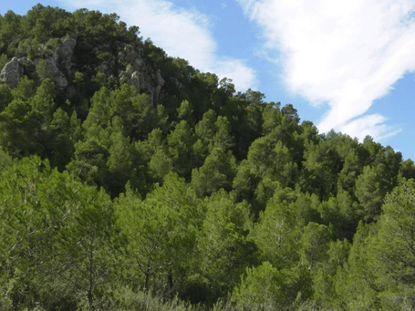 Sierra de Las Pansas