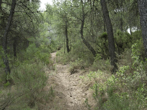 Sierra de Las Pansas