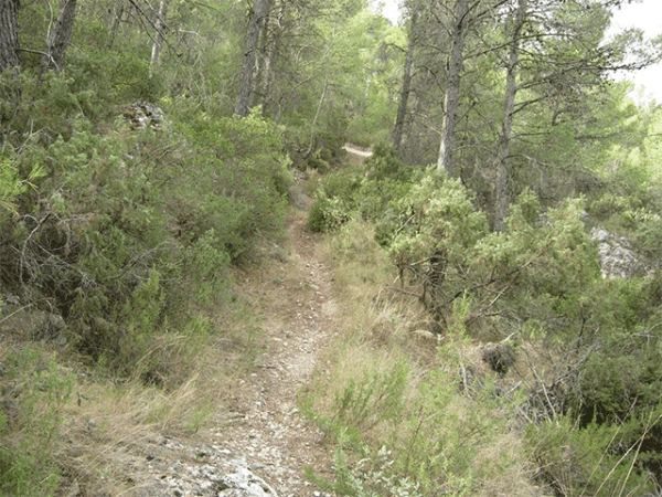 Sierra de Las Pansas